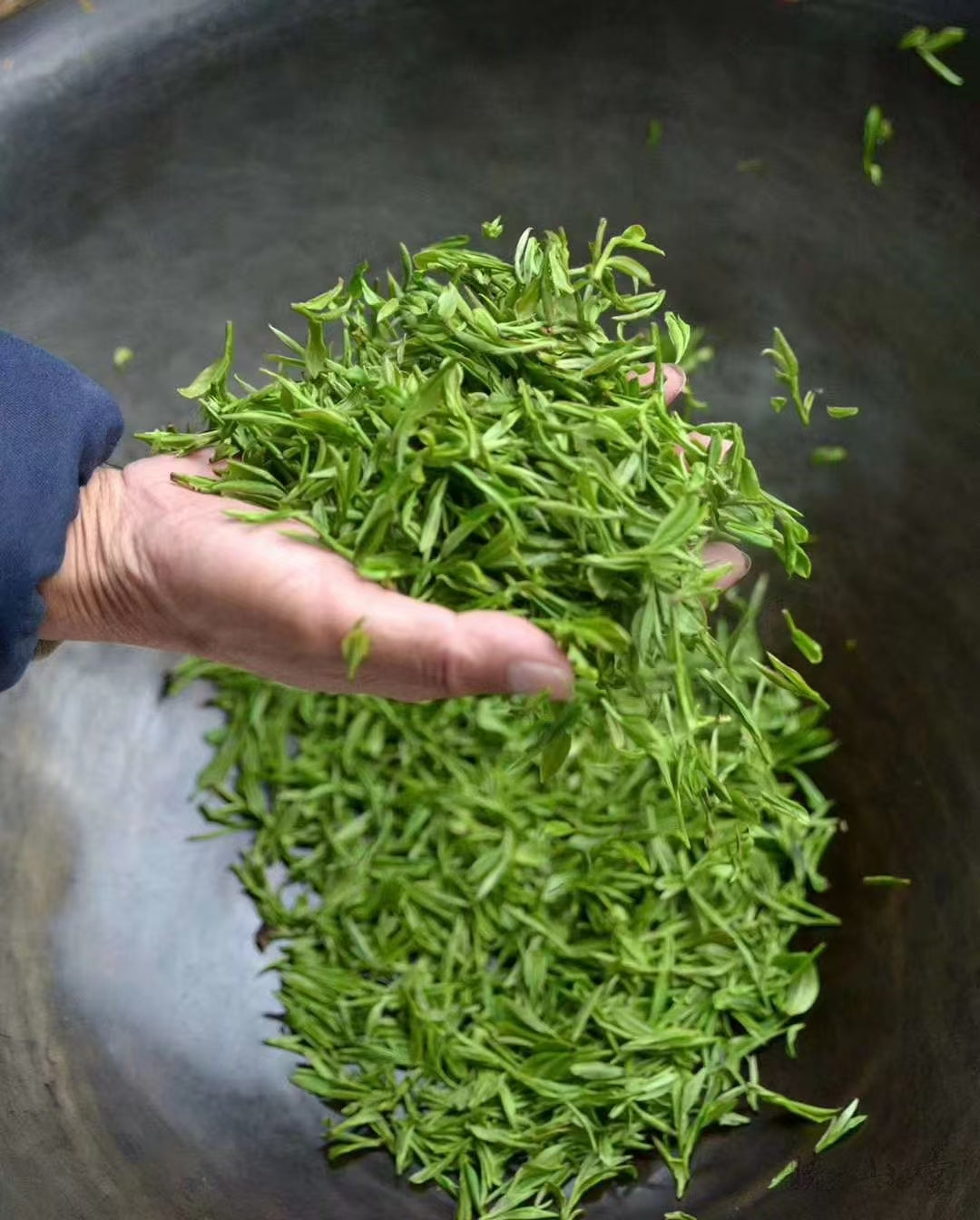 Premium Dragon Well Green Tea - Best for Daily Use -250g