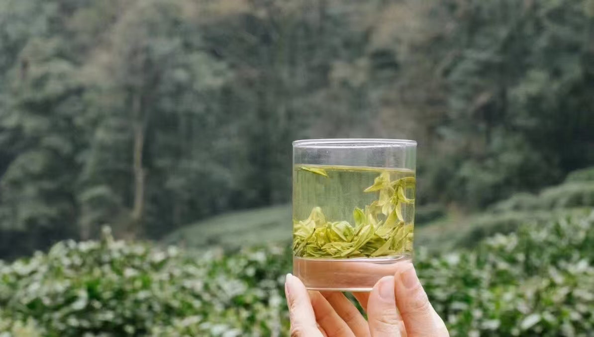 Premium Dragon Well Green Tea - First Taste Gift Box – 100g