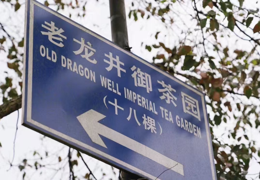 Premium Dragon Well Green Tea - Best for Daily Use -250g